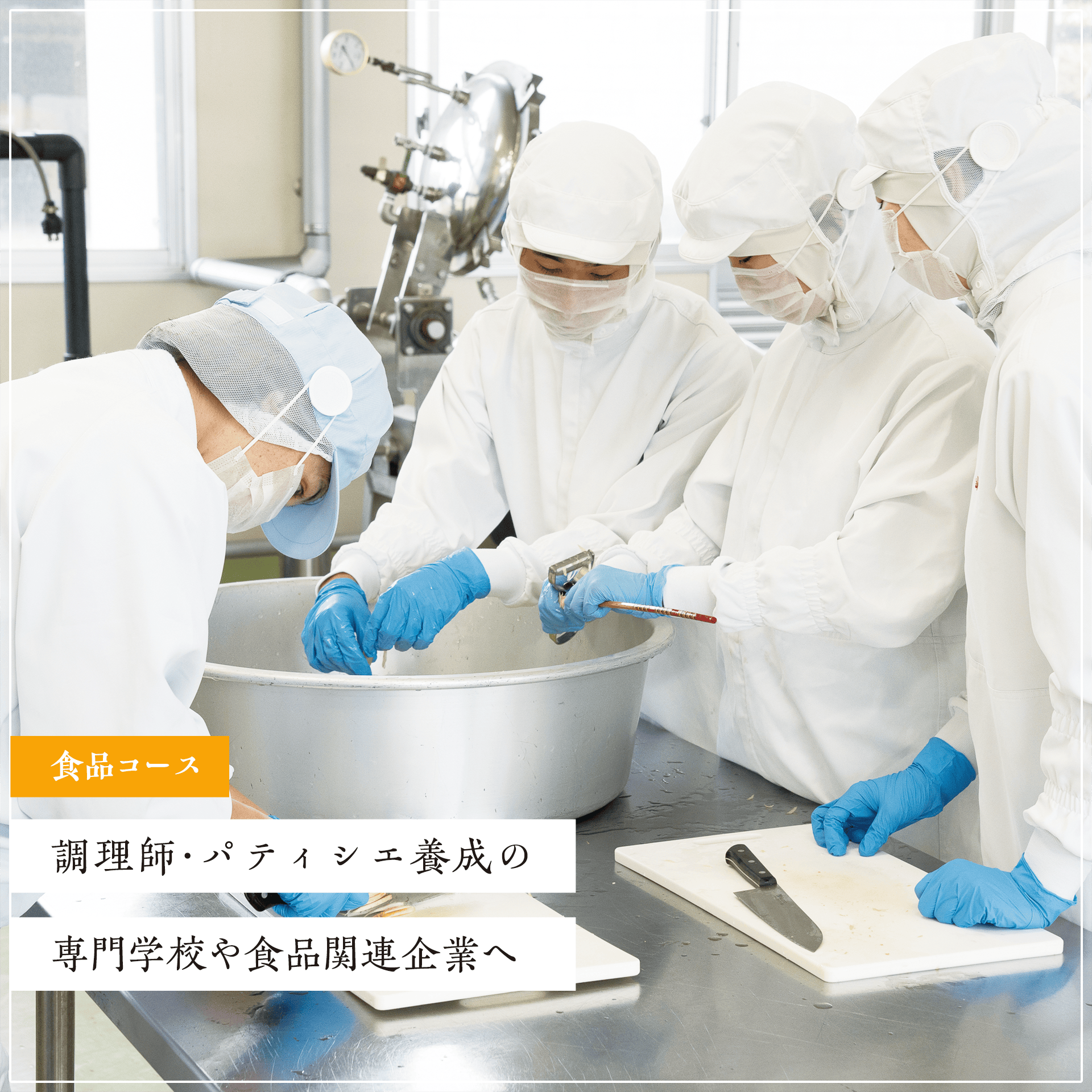 食品コース