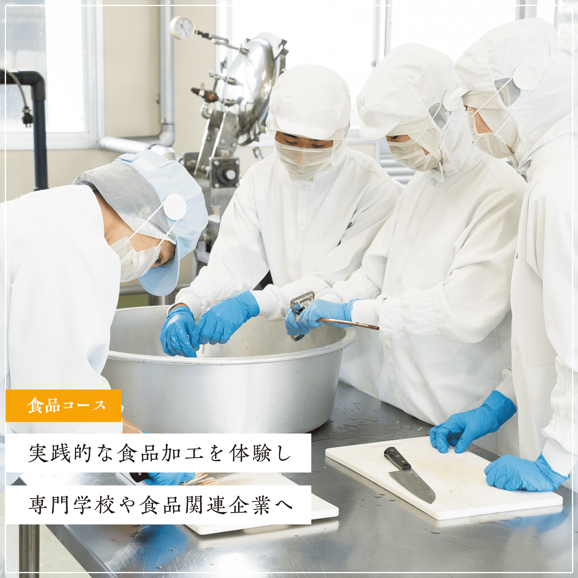 食品コース