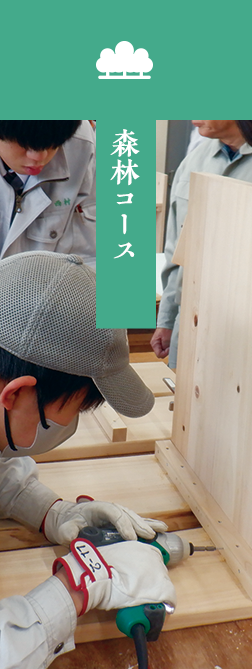 森林コース