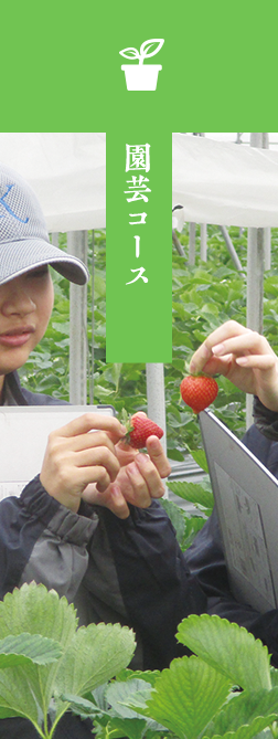 園芸コース