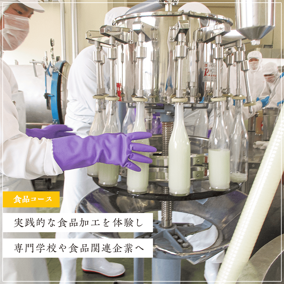 食品コース