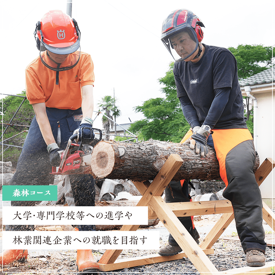 森林コース