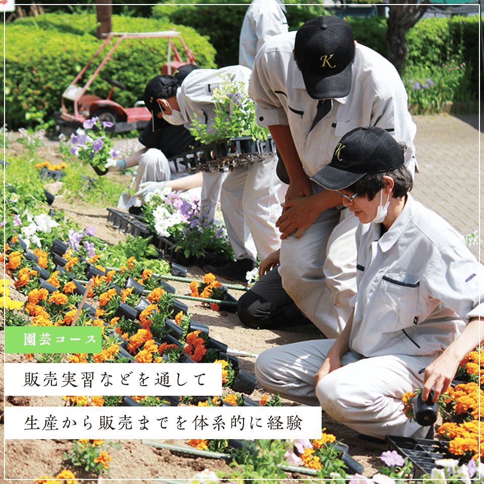 園芸コース